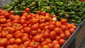 Preço do tomate cai 15,85% nas Ceasas; veja altas e quedas de frutas e hortaliças