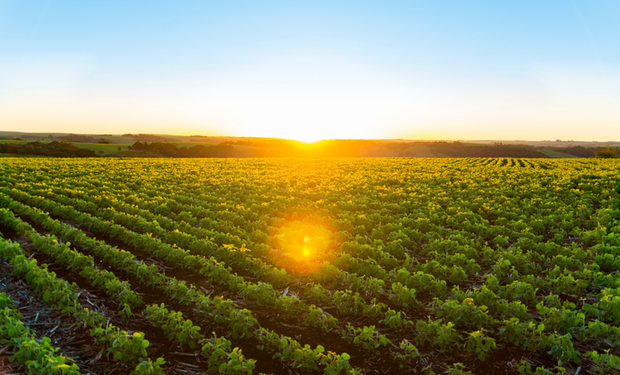Previsão climática indica variação no regime de chuvas e temperaturas elevadas em diferentes regiões do país.