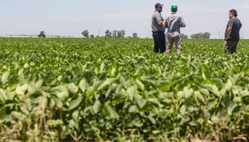 Ganancias: las decisiones que puede tomar una empresa agropecuaria antes del cierre para reducir el impacto impositivo
