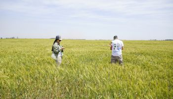 La confianza del campo sigue alta, aunque perdió impulso