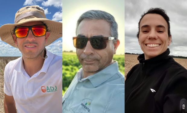 Habrá más soja, pero el número no cierra y el alquiler representa hasta el 45% del planteo: tres experiencias de cara a una campaña particular en el campo