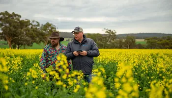 Crearon el primer híbrido de canola del mundo en 1989 y ahora apuestan fuerte a la Argentina: "Puede dar una renta importante al productor" Crearon el primer híbrido de canola del mundo en 1989 y ahora apuestan fuerte a la Argentina: "Puede dar una renta importante al productor"