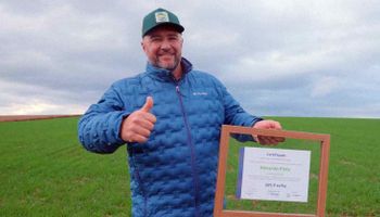 Milho bate 369,9 sacas por hectare no Paraná