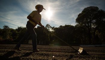 Preços ao produtor rural recuam 9,5% no semestre