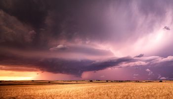 El Niño ya es histórico, se podría extender hasta el otoño 2027 y así van a seguir las lluvias en el campo