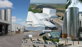 El ranking global de la industria láctea, entre fusiones y adquisiciones: ¿Cuáles son las empresa argentinas que más leche procesan?