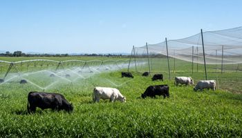 Las 12 preguntas del RIMI para el agro y cómo aprovecharlo