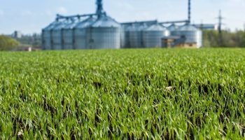 Gigante italiano de biocombustibles eligió Argentina para abrir una unidad especializada en agro: traen nuevos cultivos y apuestan a la agricultura para la transición energética