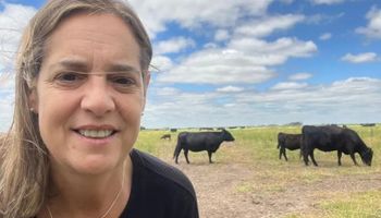 Aparecen las 15 vaquillonas de Andrea Sarnari, pero no encuentran explicación de cómo llegaron allí