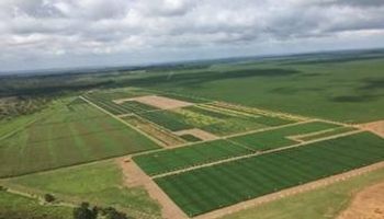 Seedcorp HO mira R$ 1 bilhão até 2031