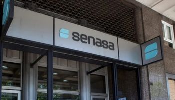 Nuevo trámite obligatorio para el campo: Senasa fijó un plazo de 90 días