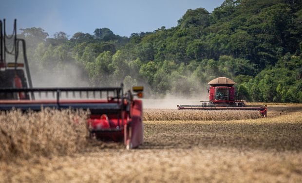 Sicoob projeta liberar R$ 70 bilhões em crédito rural no Plano Safra 2026/27