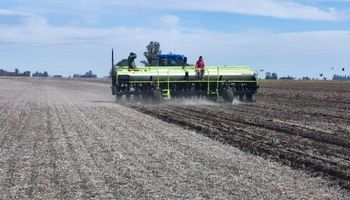 La “jugada de ajedrez” que prepara el campo ante un El Niño que puede ser histórico