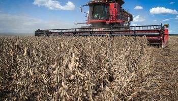Con 2 toneladas de soja se levanta un m2 de construcción y con 1700 toneladas se compra una cosechadora: así evoluciona el costo vs. el cultivo