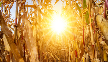 Centro-Sul terá dias de sol e temperaturas em alta