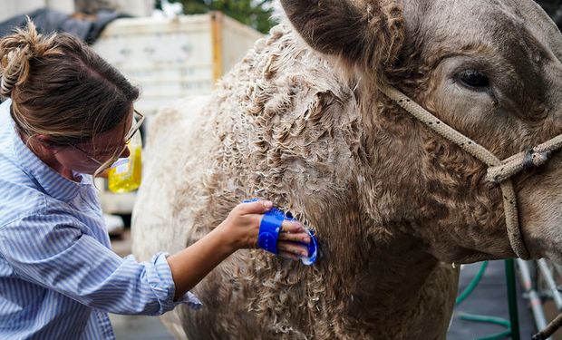 Cuánto se cobra por trabajar en el campo, qué perfiles busca hoy la agroindustria y qué motiva a los jóvenes