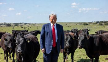 Creció un 369% la venta de carne argentina a Estados Unidos: en un mes se exportó lo mismo que en ocho meses del año anterior
