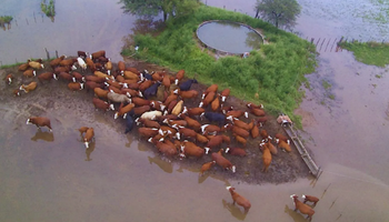 Inundaciones: Santa Fe declaró la emergencia agropecuaria y otorgará alivios impositivos