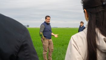 Estudiaron el campo durante años para ver qué hacer en un año de "Súper Niño": qué pasa con el agua que no se ve y cómo ajustar el manejo