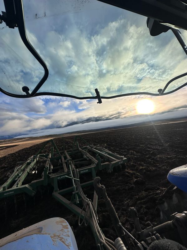 Vista desde la cabina de un tractor hacia una sembradora de discos verde con marca visible, trabajando sobre un lote de suelo oscuro y removido al atardecer.
