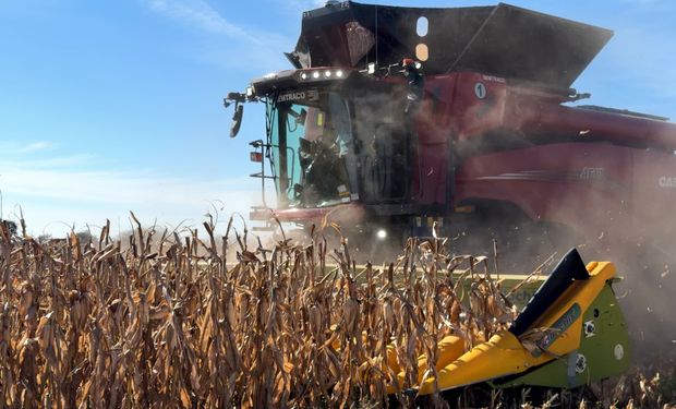 La AF10 mostró los resultados del último modelo de Case IH; la primera unidad de Argentina exhibió su funcionamiento