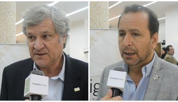 Ley de semillas: el trigo debate