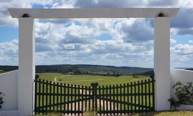 Cidades do Mato Grosso têm até 30% de sua área rural à venda