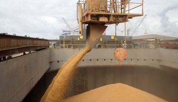 Entre Ríos exportará a Brasil 20 mil toneladas de trigo