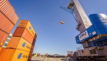 Porto de Itajaí registra crescimento recorde de quase 1.500% em seis meses