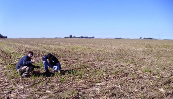 Día del Ingeniero Agrónomo y del Veterinario: por qué se celebra el 6 de agosto