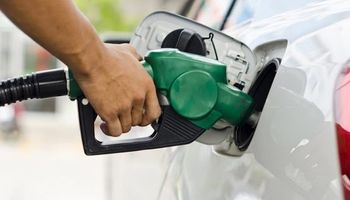 Biocombustibles: el precio del bioetanol de maíz y el de la caña de azúcar estarán atados al precio de la nafta