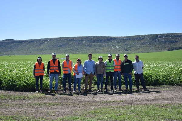 Potato Growers, ganador del 1 Puesto del Desafío