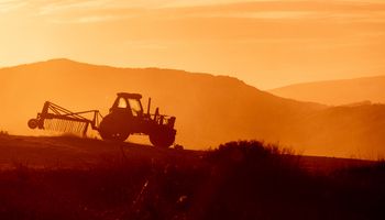 Los “frenos de mano” que le hacen perder al agro argentino el salto productivo