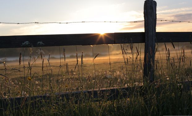 El agro busca su Norte