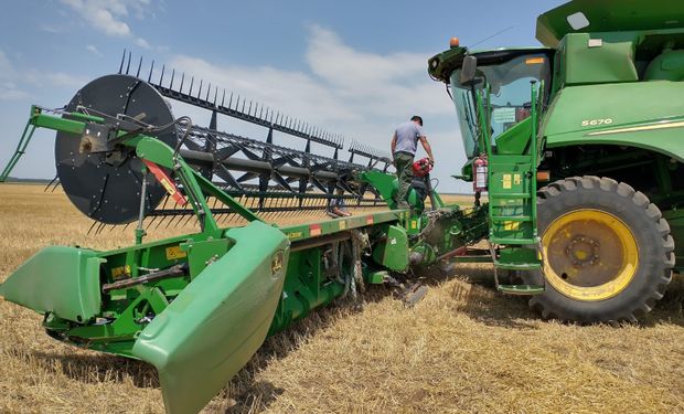 Mercado de campos: hay grandes diferencias entre inversor y propietario