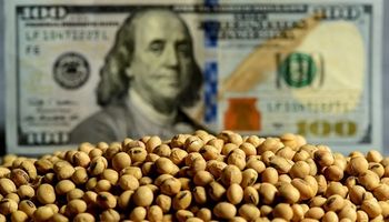 La soja toca mínimos de los últimos 18 años: qué pasó con el precio de los granos en Rosario