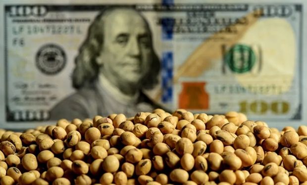La soja toca mínimos de los últimos 18 años: qué pasó con el precio de los granos en Rosario