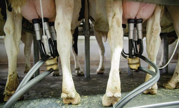 García Maritano, coordinador de la Comisión de Lechería de CRA, habla de la necesidad de institucionalizar el mercado de la leche.