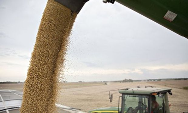 La harina de soja en China tuvo la mayor caída diaria en 10 años
