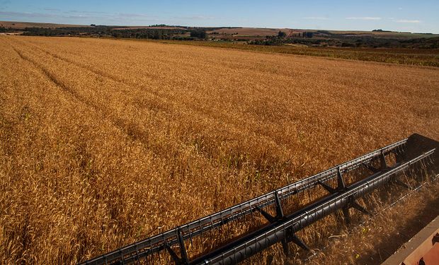 Una potencial recesión mundial impacta sobre el trigo, la soja y el maíz