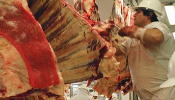 Precio de la carne aumentó casi 60% en 2015 pero el consumo no disminuyó