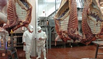 "Los precios de la carne en 2017 no van a subir"