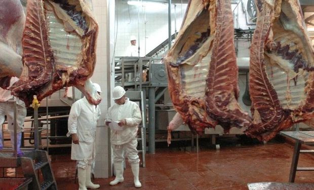 “Los precios de la carne en 2017 no van a subir, porque va a haber una oferta muy abundante”, aseguró Schiariti.