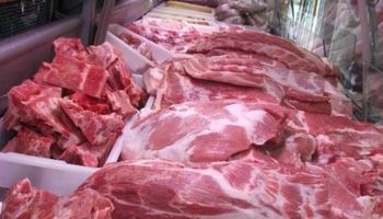 Según privados, la carne bajó sólo un 1,9% en enero 