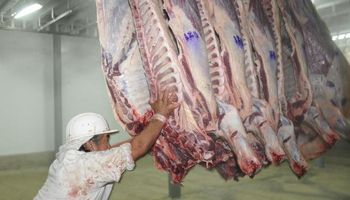 Para el presidente de CRA, el precio de la carne es "inelástico"