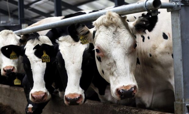 La caída del poder adquisitivo del salario generó una baja del consumo de carne. Foto: Archivo