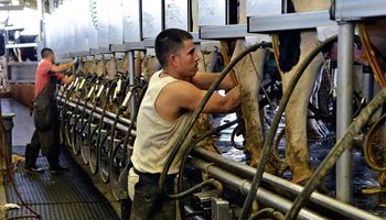 Productores lecheros no descartan implementar nuevo plan de lucha