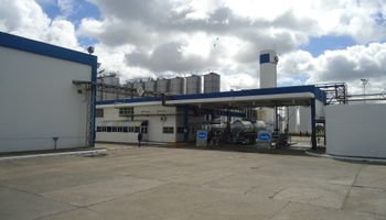 Precio de la leche en polvo sigue siendo insuficiente
