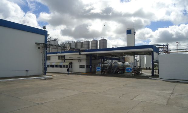 Industrias lácteas no pueden cubrir los costos básicos.