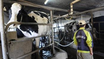 Descartan mejora en los precios de los lácteos